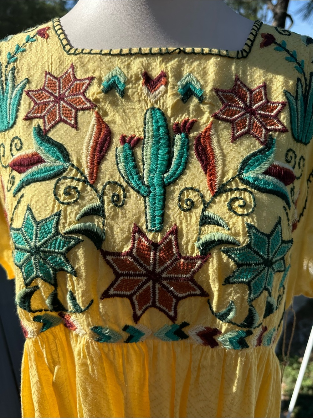 Double D Ranch  Cactus Dress - Picture 3 of 6